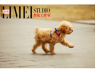 歐元